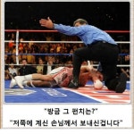 열도의 제목학원 우수작17 - 고급유머 열도의 제목학원 우수작17