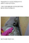 셀프 집수리.jpg - 고급유머 셀프 집수리.jpg