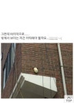 셀프 집수리.jpg - 고급유머 셀프 집수리.jpg