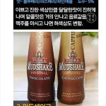 여자들이 좋아하는 달달한 세계맥주.jpg - 고급유머 여자들이 좋아하는 달달한 세계맥주.jpg