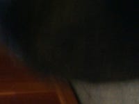 택시기사요즘개념이없음 - 고급유머 택시기사요즘개념이없음