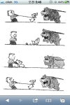 야 잠만 놔봐! 아 잠만 놔보라고!!! - 고급유머 야 잠만 놔봐! 아 잠만 놔보라고!!!
