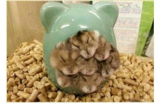 풀하우스 - 고급유머 풀하우스