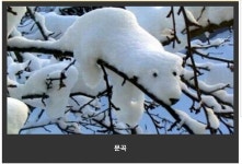 문곡 - 고급유머 문곡