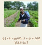 반도의 제목학원 -2 - 고급유머 반도의 제목학원 -2
