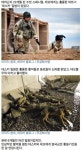 테스커와 테오 - 고급유머 테스커와 테오