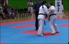 서양 춘리.gif - 고급유머 서양 춘리.gif