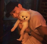 친구 프사 수탉인줄알았는데 - 고급유머 친구 프사 수탉인줄알았는데