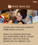 틀려도 괜찮아~.jpg - 고급유머 틀려도 괜찮아~.jpg