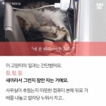 어쭈구리~! 퇴근 안 시켜줘?.jpg - 고급유머 어쭈구리~! 퇴근 안 시켜줘?.jpg