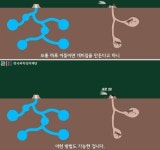 [스압] 비가 오면 개미집은 물에 잠길까?.jpg - 고급유머  비가 오면 개미집은 물에 잠길까?.jpg