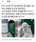 버림받은 코끼리.jpg - 고급유머 버림받은 코끼리.jpg
