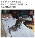 점마 어디서 봤는데.cat - 고급유머 점마 어디서 봤는데.cat