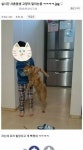 고양이 말리는 사촌 동생 - 고급유머 고양이 말리는 사촌 동생