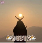 1월1일에 찍어야하는 일출샷 포즈.jpg - 고급유머 1월1일에 찍어야하는 일출샷 포즈.jpg