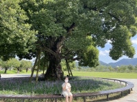 성밖숲 농업기술센터 > 귀농 · 귀촌 > 귀농 커뮤니티 > 우리동네 이야기 성주군농업기술센터