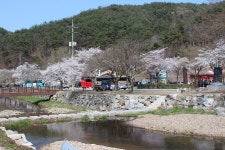 상세 >동네 작가 > 커뮤니티 > 청양군 귀농귀촌