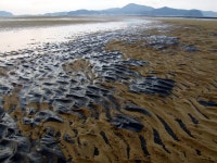 행사/교육/공지 | 녹색연합