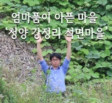 엄마 품이 아픈 마을, 청양 강정리 석면마을 | 녹색연합