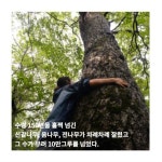 500년 가리왕산 숲은 제 모습을 찾을 수 있을까? | 녹색연합