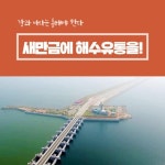 [서명] 2020 새만금 해수유통 촉구 1만인 선언에 함께 해주세요~ | 녹색연합