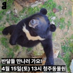 [참여요청] 4월, 사육곰과 함께! | 녹색연합