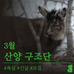 [모집] 긴급 모집합니다! | 녹색연합