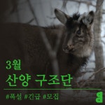 [모집] 긴급 모집합니다! | 녹색연합