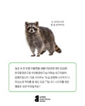 자연걱정 상담소 ④ 멸종위기 동물은 위험한 야생보다 사람의 보호가 더 필요하지 않나요? | 녹색연합