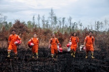 #ClimateStrike: Bergerak bersama melawan krisis iklim - Greenpeace Indonesia - Greenpeace Indonesia