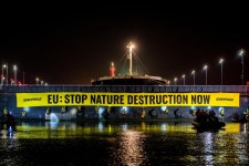 Why Greenpeace is blocking a mega-ship bringing Brazilian soy to the Netherlands - Greenpeace International