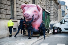 Top 5 questions we answered in 2025 - Greenpeace International