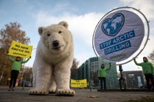 지구온난화로부터 북극곰을 구하는 방법 - Greenpeace Korea | 그린피스
