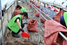 극한 호우 피해 현장, 그린피스가 방문했습니다 - Greenpeace Korea | 그린피스