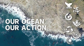 News & Stories - Greenpeace Korea | 그린피스