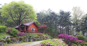 예산군 봉수산 자연휴양림 인기 고조