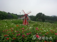 용인시, 마평동 시민농장서 도시농업 체험 팜파티 행사