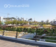 [포토] 영덕군, 난간걸이 꽃 화분 설치