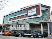 세종시, 우리 동네 가로수 시민이 직접 돌본다