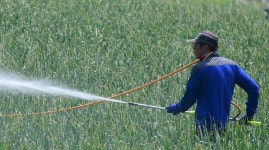 홍성군, 농어민수당 1차분 37억 조기 지급!