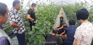 천안시농업기술센터, 가을멜론 재배 교육