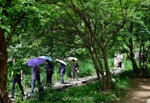 [연꽃문화제] 연꽃순례자