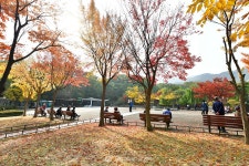 [가을] 건강 & 소통