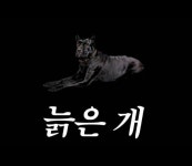 아웃사이더, 키즈카페 사장님 래퍼로 변신 늙은개 공개