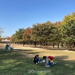 서울숲공원, 비대면 스스로 자원봉사 프로그램 비.봉.스.봉 운영