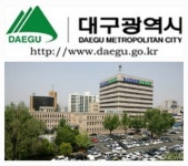 대구광역시, 자동차등록번호판 발급대행자 공개 재모집