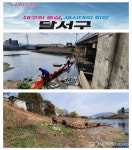 대구시 달서구청, 대명천 환경정화활동 행사 가져