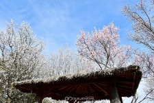 [봄소식] 시민들의 눈높이에서 생각합니다!