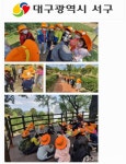 대구시 서구청, 책숲 에코 탐험대 인기 특화프로그램으로 자리매김
