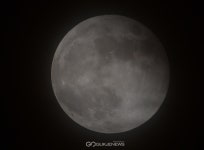 [신비한 천체] 붉은 달(블러드문) & 큰 보름달